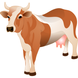 Cattle